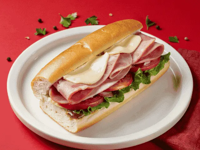 Wawa Ham Classic Hoagie