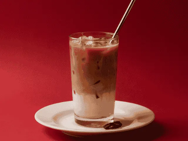 Wawa Iced Coffee